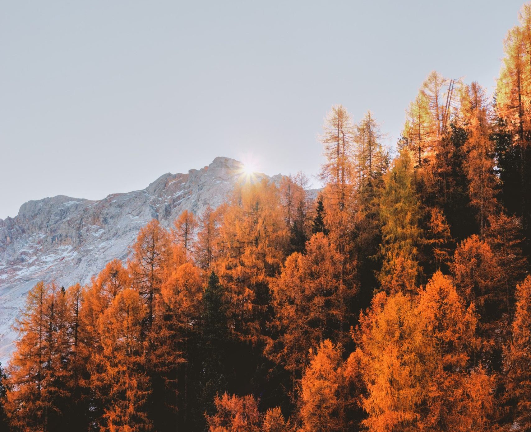 Ultimate 2020 Autumn/Winter Playlist - Infinite Golden Floors